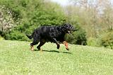 BEAUCERON 866